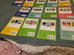 Decodables Just Right Readers High Interest Dyslexia Tutoring Lot Of 25