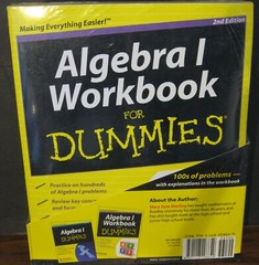 Algebra I for Dummies Book and Workbook 2nd Edition – Unused – Never Opened