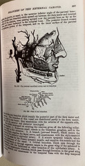 THE UNABRIDGED GRAY’S ANATOMY 1999 Courage Books Running Press VGC