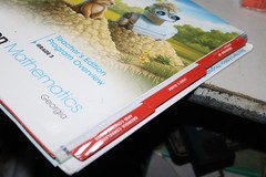 EnVision Mathematics Georgia Savvas Teacher’s Edition Program Overview Grade 3