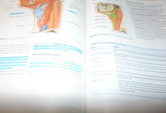Gray’s Anatomy Ser.: Gray’s Anatomy for Students by Adam W. M. Mitchell, Richard