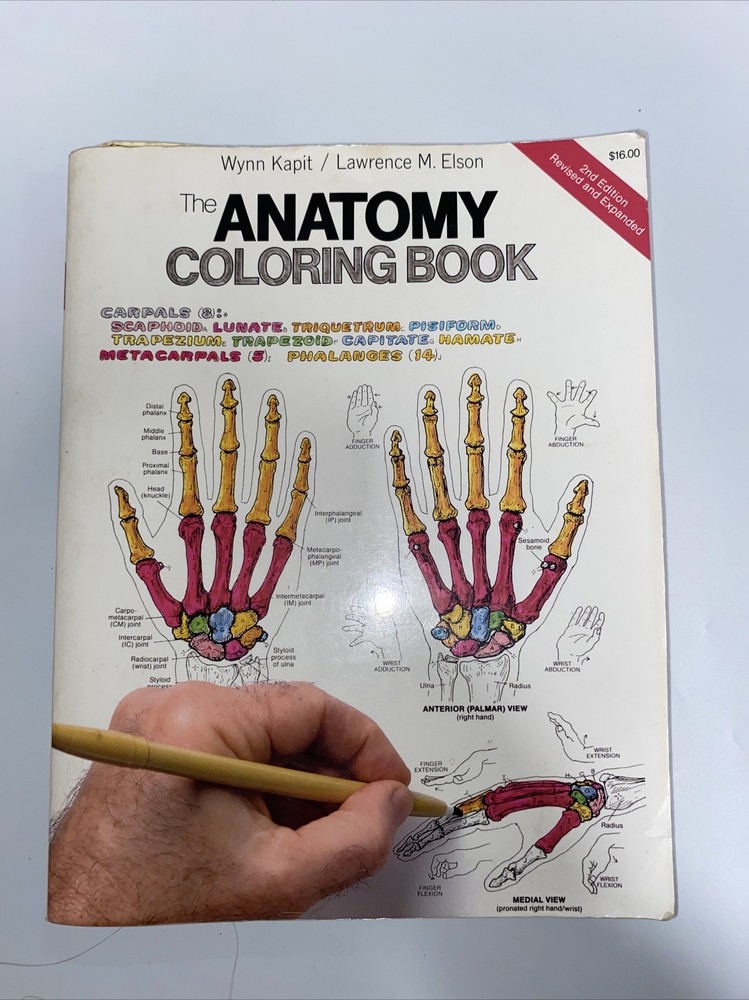 The Anatomy : Coloring Book by Lawrence M. Elson and Wynn Kapit (1997, Trade…