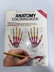 The Anatomy : Coloring Book by Lawrence M. Elson and Wynn Kapit (1997, Trade…