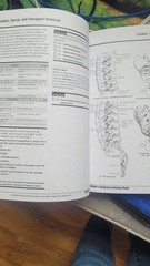 Netter Basic Science Ser.: Netter’s Anatomy Coloring Book Updated Edition by…