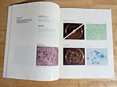 Medical Mycology – A Scope Publication by Glenn S Bulmer Paperback Book
