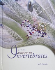 Biology of the Invertebrates, Fourth Edition – hardcover Pechenik, Jan A