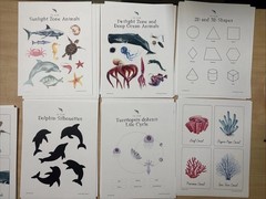 How Wee Learn Homeschool Curriculum Printables Kindergarten Science Animals Set