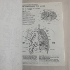 The Anatomy Coloring Book By Wynn Kapit & Lawrence M. Elson 2nd Edition