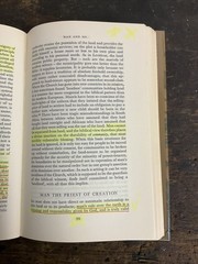 Beginning Now: A Christian Exploration Of Chapters One to Three of Genesis