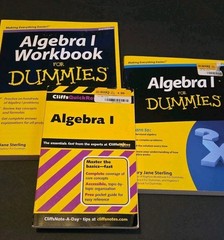 Algebra I for Dummies + Workbook by Sterling & Cliffs Quick Reference Book Lot