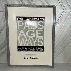 Passageways An Interpretive History Of Black America To 1865 by C.A. Palmer K2