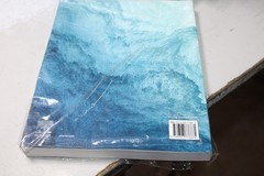 Contemporary Nursing Issues Trends & Management 9th Edition Trade Paperback