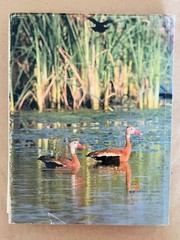 1st Edition Texas Wildlife: Photographs from Texas Parks & Wildlife 1978