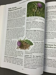 The Lost Book of Herbal Remedies (paperback with color pictures) Herbs Recipes