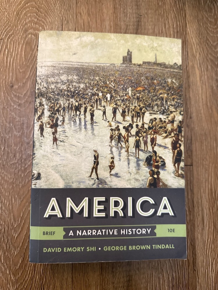 America: A Narrative History (Brief Tenth Edition) (Vol. – VERY GOOD