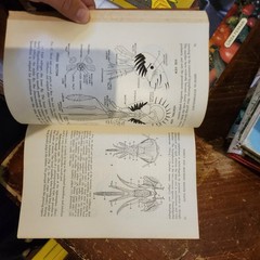 Medical and Veterinary Entomology by William B Herms 1915 Macmillan HC