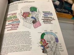 The Anatomy Coloring Book Kapit Elton 2 edition