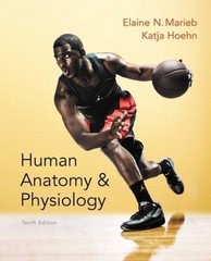 Human Anatomy and Physiology by Elaine N. Marieb and Katja Hoehn (2014,…