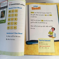 Phonics-Based READING STREET Grade 1 Book Set 1-5 Pearson Home School – Foresman