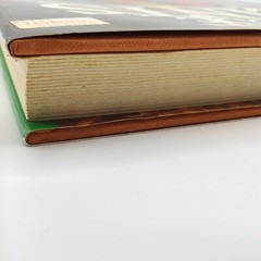VTG House Plants The Illustrated Encyclopedia Hardcover Book by W. Davidson 1984