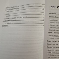 SQL AND PYTHON PROGRAMMING: 3 manuscripts in 1 book