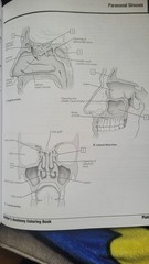 Netter Basic Science Ser.: Netter’s Anatomy Coloring Book Updated Edition by…