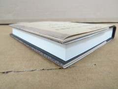 Our Magnificent Bastard Tongue John McWhorter 2008 1st Printing Gotham Books