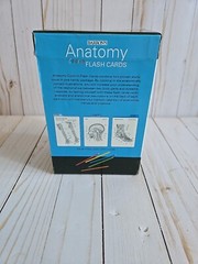 Anatomy Color-in Flash Cards by Kurt Albertine (2009, Cards,Flash Cards)