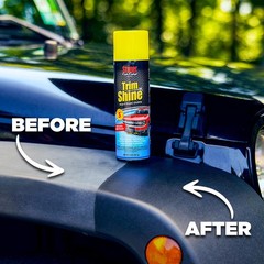 Stoner Car Care Trim Shine Protectant 22oz Revives Interior Exterior Trim