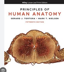 Principles Of Human Anatomy 15th Edition Loose-Leaf Binder By Tortora & Nielsen