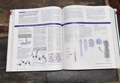 Campbell Biology Twelfth 12th Edition Pearson Hardcover Rental Edition