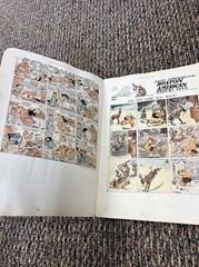 The Smithsonian Collection of NEWSPAPER COMICS 1977 Oversize Book
