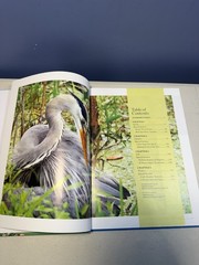 Birds Birds Birds (5): Boreal Birds of North America/Birds in Bloom/Canaries…