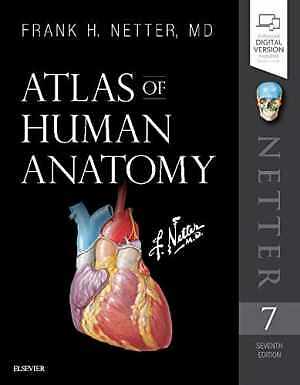 Atlas of Human Anatomy (Netter Basic – Paperback, by Netter MD Frank – Good
