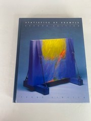 Statistics by Example by Terry Sincich (Hardcover)