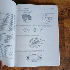 Lot Of 3 Science Coloring Books Biology Anatomy Zoology Vintage