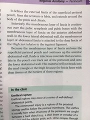 Gray’s Anatomy for Students 4th Edition by Drake, Vogl, and Mitchell – PB, Good