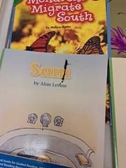 Scott Foresman Lot Of 19 Level 1 Readers #5.2.41