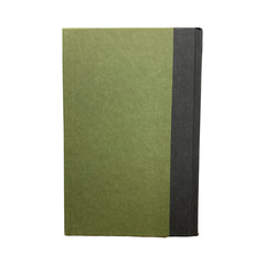Dictionary of Word Origins by Ayto, John