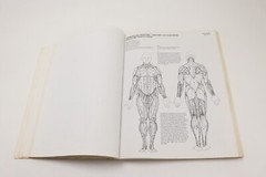 Vintage 1977, The Anatomy Coloring Book Wynn Kapit / Lawrence M. Elson, COS 175