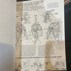 The Anatomy Coloring Book – paperback, Wynn Kapit, 9780064550161