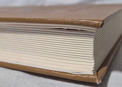 The Law of Negligence in Arizona 1992 Jefferson L. Lankford Douglas A. Blaze