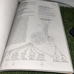The Anatomy Coloring Book (2nd Edition), Kapit, Wynn; Elson, Lawrence M., Used;