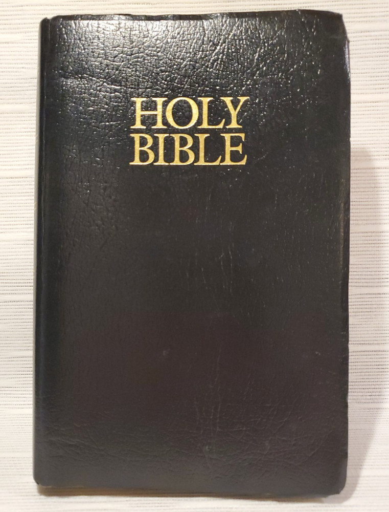 HOLY BIble, Zondervan, 2001, New International Version, ISBN 0-310-92616-5 GREAT