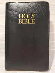 HOLY BIble, Zondervan, 2001, New International Version, ISBN 0-310-92616-5 GREAT