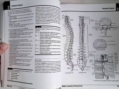 Netter’s Anatomy Coloring Book by – John T. Hansen, 2nd Ed, Large Paperback 2018