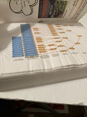 Discovering Statistics Using IBM SPSS Statistics by Andy Field (2018, Trade…