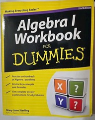 Algebra I Workbook For Dummies – Mary Jane Sterling Paperback 2011