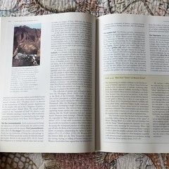 Understanding the Bible by Stephen L. Harris Eighth Edition Hardcover Textbook