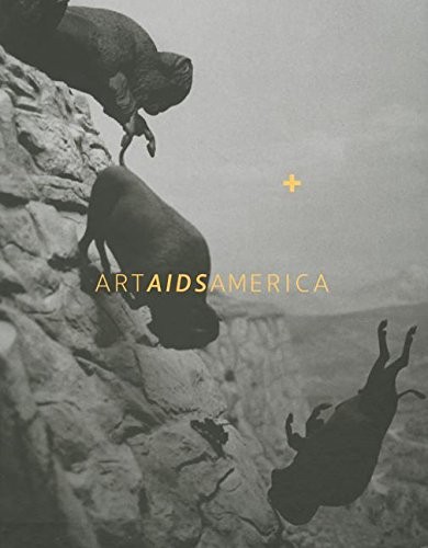 ART AIDS AMERICA By Jonathan David Katz & Rock Hushka **BRAND NEW**